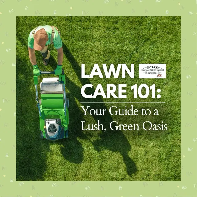 lawn care guide