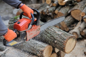 Chainsaw Safety 101 by Payless Hardware & Rockery