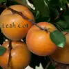 Leah-Cot-2012_0