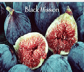 black-mission