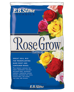 eb-stone-outdoor-soil-rose-grow
