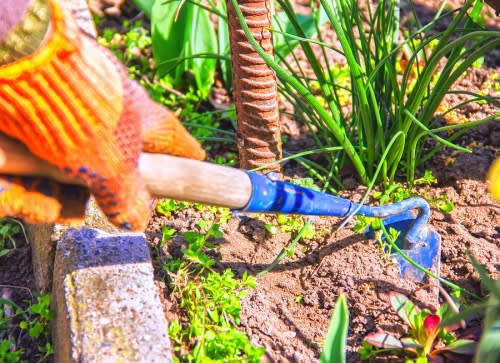 Guide for Controlling Weed to Garden by Payless Hardware and Rockery