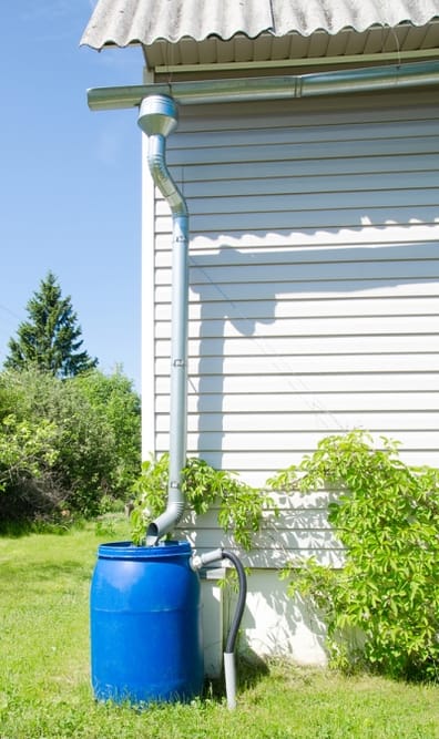 rain barrel 