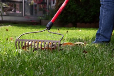 Tips for Lawn Maintenance in San Jose, CA