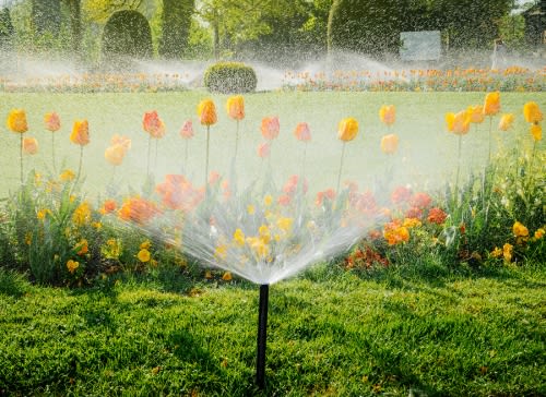 Saving Water with Automated Irrigation System