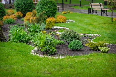 landscaping-lawn