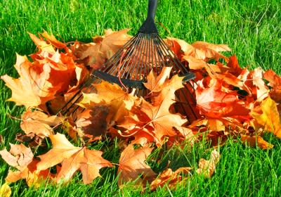 Landscaping Tips for Autumn by Payless Hardware & Rockery