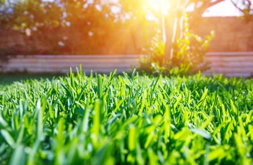 Lawn Mowing Guide by Payless Hardware & Rockery