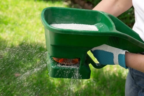 Fertilizing Lawns in San Jose, CA