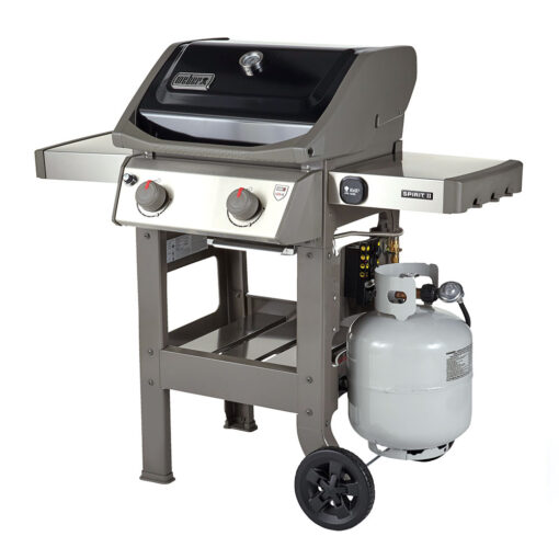 Weber Spirit E-210