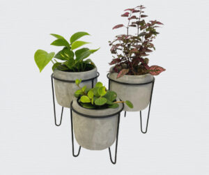 Payless Nursery Pottery and Planters