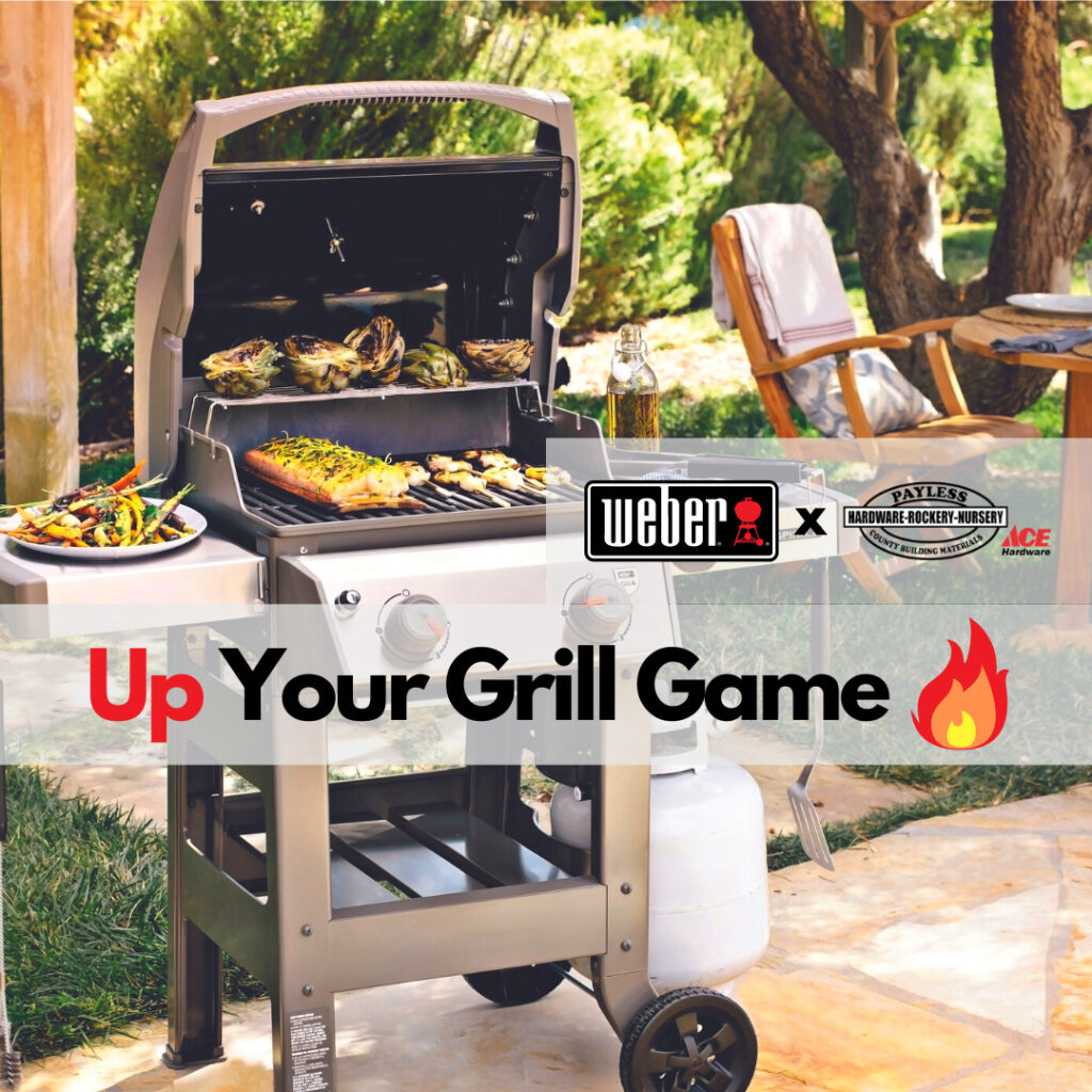 Up Your Grill Game with Weber Grills