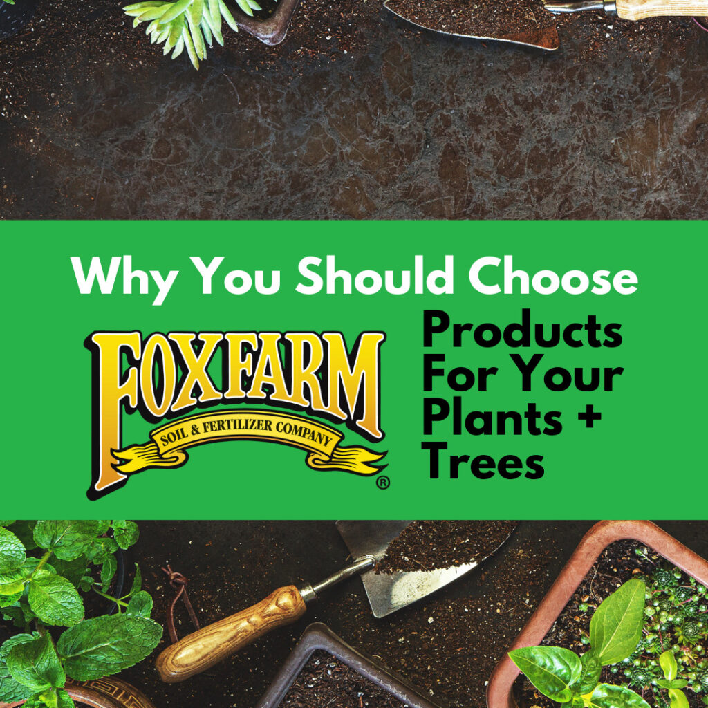 Why You Should Choose FoxFarm Products For Your Plants and Trees