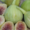 White Genoa fig