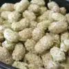 White mulberry