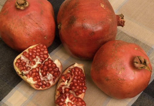 Red silk pomegranate