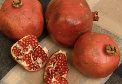 Red silk pomegranate