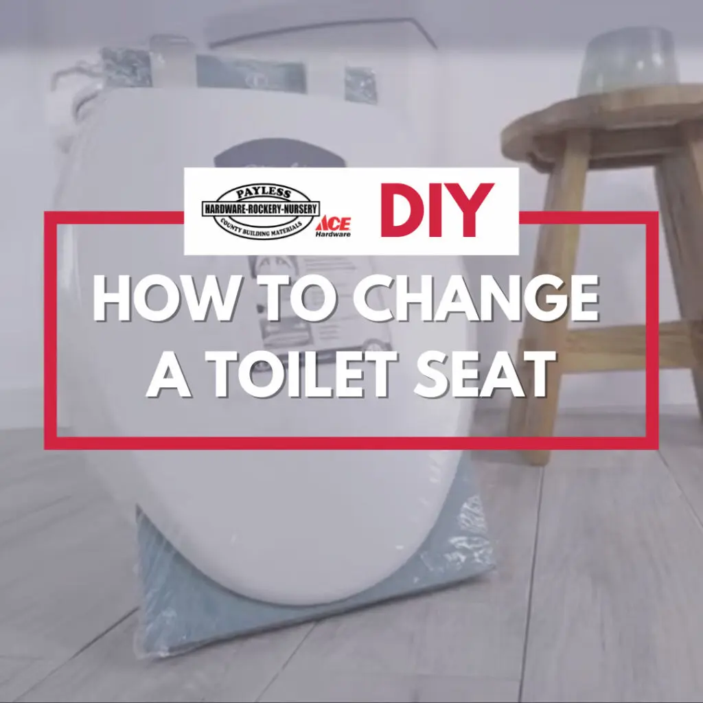 DIY How to Change a Toilet Seat