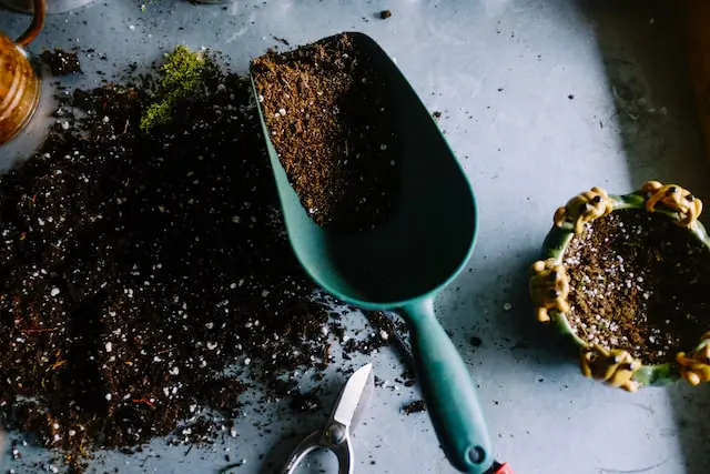 Bagged soil