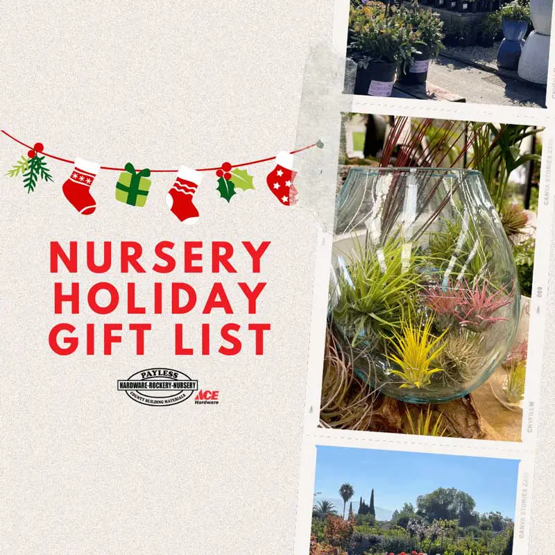 Nursery Holiday Gift List 2022 at Payless Hardware, Rockery, and Nursery