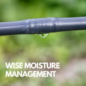 Wise Moisture Management - How to Care for Peach and Nectarine Fruit Trees in Winter at Payless Hardware, Rockery and Nursery