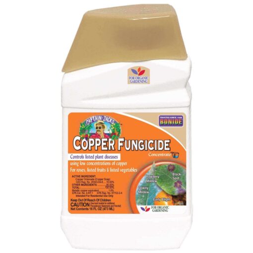 Bonide Captain Jack's Liquid Copper Fungicide 1