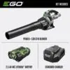 Ego Kit Power Plus 530 CFM Leaf Blower with Arc Lithium Battery and Standard Charger at Payless Hardware Rockery and Nursery
