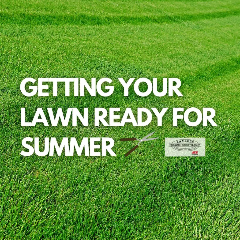 grass green blog cover