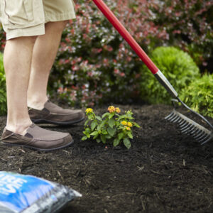 Payless hardware mulch