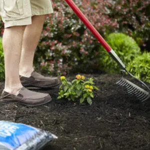 Payless hardware mulch